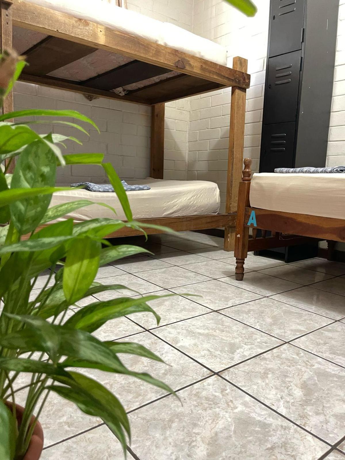 Pool House Hostel Santa Ana Exterior photo